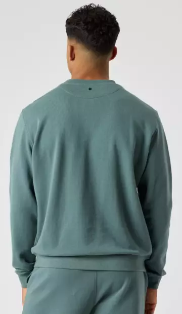 Björn Borg Borg Classic Sweatshirt miesten collegepaita balsam green - Miesten urheilupaidat ja hupparit - 73214658472 - 2
