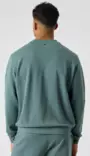 Björn Borg Borg Classic Sweatshirt miesten collegepaita balsam green - Miesten urheilupaidat ja hupparit - 73214658472 - 2