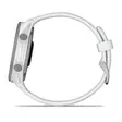 Garmin Forerunner 170 GPS juoksuälykello vaaleanharmaa - Sykemittarit - 753759368302 - 7