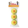 Wilson tennispallot starter 3 pack - Tennis ja Padel - 883813357925 - 1
