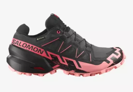 Salomon Speedcross 6 GTX W juoksukengät harmaa/musta/pinkki - Naisten juoksukengät - 1987200855 - 1
